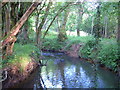 Scotley Brook near Woodbrooke Farm