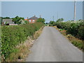 Lane to Beningbrough Grange