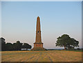 Obelisk, Combermere Park