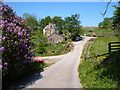 Bullpark, near Princetown