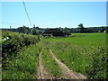 Dutch barn, Lodge Wood Estate, near Westerham, Kent