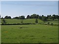 ST9460 : Pasture South of Seend by Doug Lee