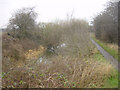 Barnsley Canal near Carlton