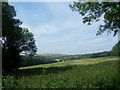 Field at Ditcham Park, towards Woodcroft Farm