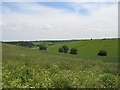 View from the Macmillan Way