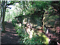 Red sandstone outcrop, Hether Wood