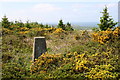 Mynydd Cefnamwlch trig