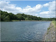 SJ8353 : Bathpool Reservoir by Steve Lewin