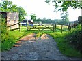 Paddock near Groton