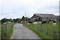 Swansea: Clyne Farm