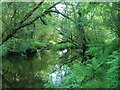 Pool above weir on West Webburn River