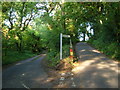 High Creek Cross