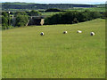 Field beside the railway