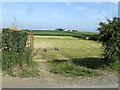 An open gate leading into a field