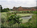 Farm Town Pond