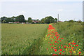 Farmland near Scothern, Lincolnshire