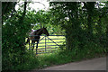 Loxbeare: near Lower Pitt