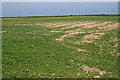 Field on Nancekuke Common