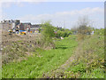 Derelict Dearne and Dove Canal at Wombwell