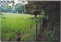 Footpath by Underley Copse, Pickhurst.