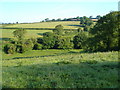 View near Holsome, Diptford