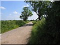 Track to Tithe Farm