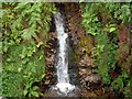 NG7720 : Waterfall in Glen Kylerhea by John Allan