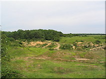 SK9614 : Disused quarry south of Clipsham by Tim Heaton