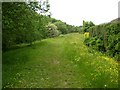 Footpath alongside the River Calder, Copley, Skircoat (Halifax)