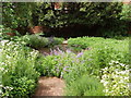 Garden of Tymperleys museum, Colchester