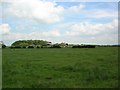 SE7459 : Wheathills Farm by DS Pugh