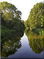 The Itchen Navigation at Shawford