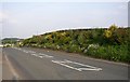 Roadside garden, Dewsbury Road, Rastrick