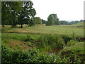 Shobrooke Lake at Camps Bridge