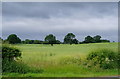 Farmland near Little Green