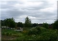 Allotments on the Timberdine site