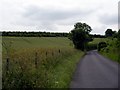 Country road, fields and woodland, north of East Winterslow