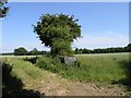 The View near to Maxtead Street hamlet