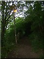 Street light on a bridleway