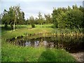 Pond, Ormonde Fields golf course