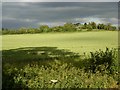 View towards Nettle Hill