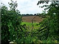 Farmland seen from the Pytchley to Orlingbury Road