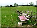 Sheep Pasture, Lodge Farm