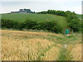 Path to Clayton Hall Farm