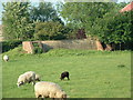 Pollington, World War 2 Air Raid shelter