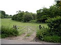 Copse to the east of West Dean Road