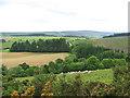 South-west slopes of Y Foel