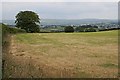 Grass Field and View