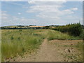 Field and track, Blackbird Leys, Oxford