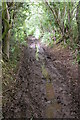 SO2549 : Muddy track near Brilley by Philip Halling